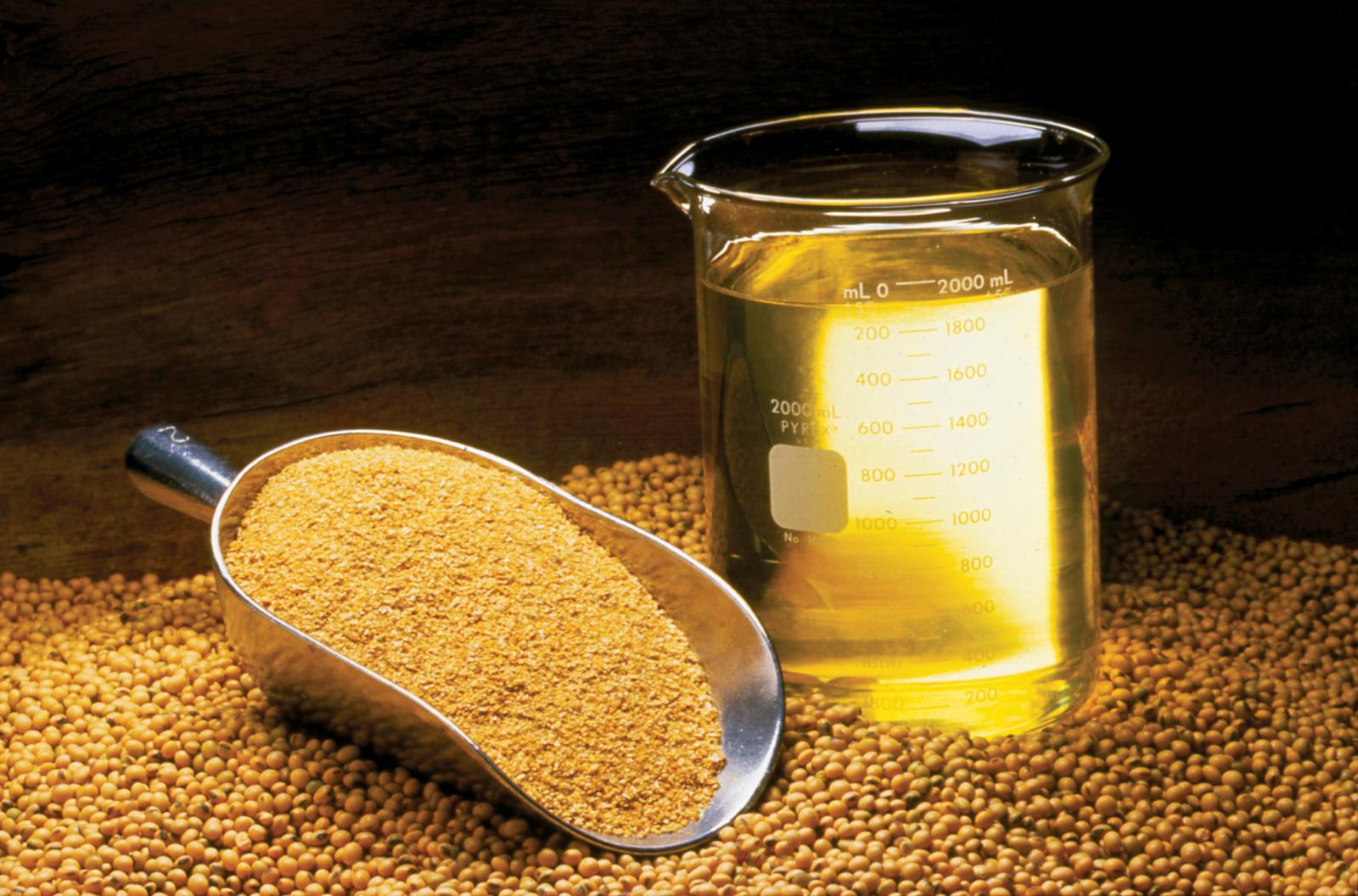 Soya Bean Meal